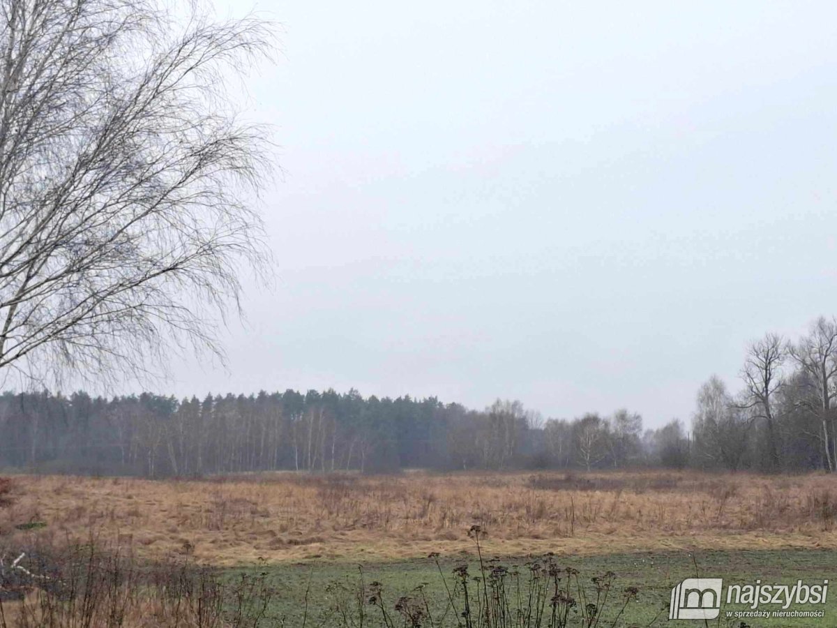 Chociwel - obrzeża ziemia rolna 19ha (1)