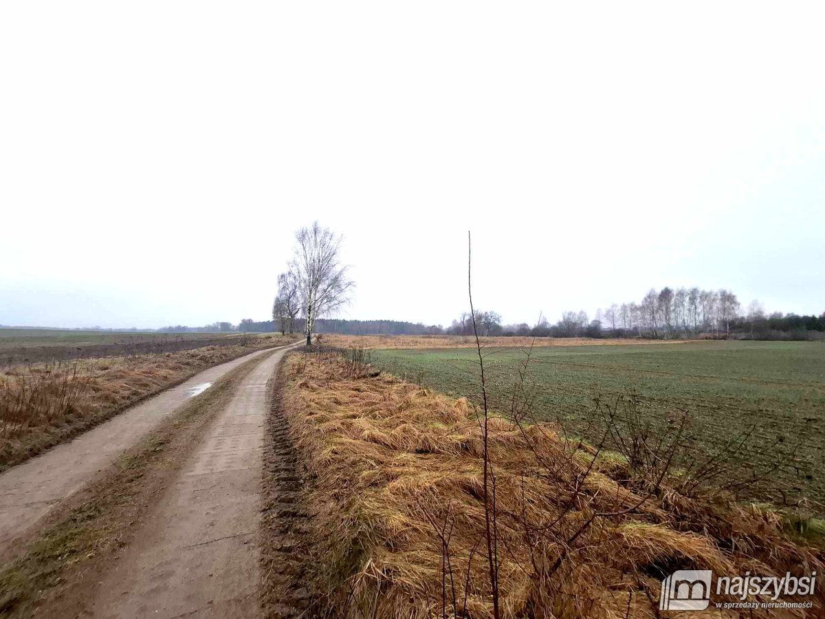 Chociwel - obrzeża ziemia rolna 19ha (2)