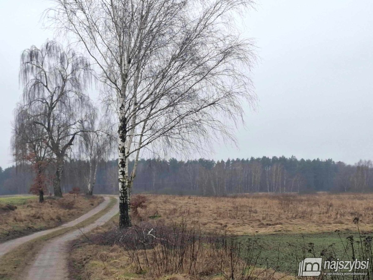 Chociwel - obrzeża ziemia rolna 19ha (3)