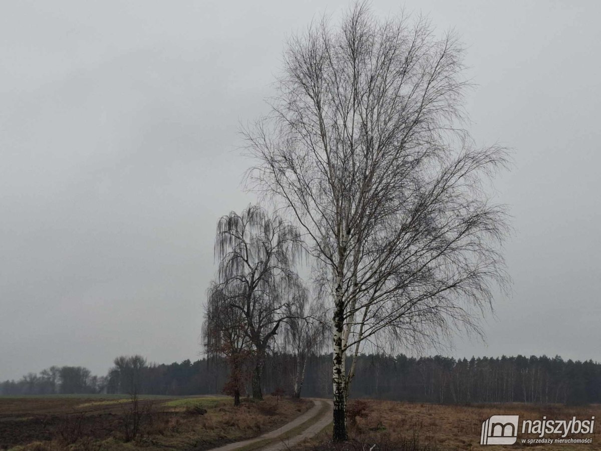 Chociwel - obrzeża ziemia rolna 19ha (4)