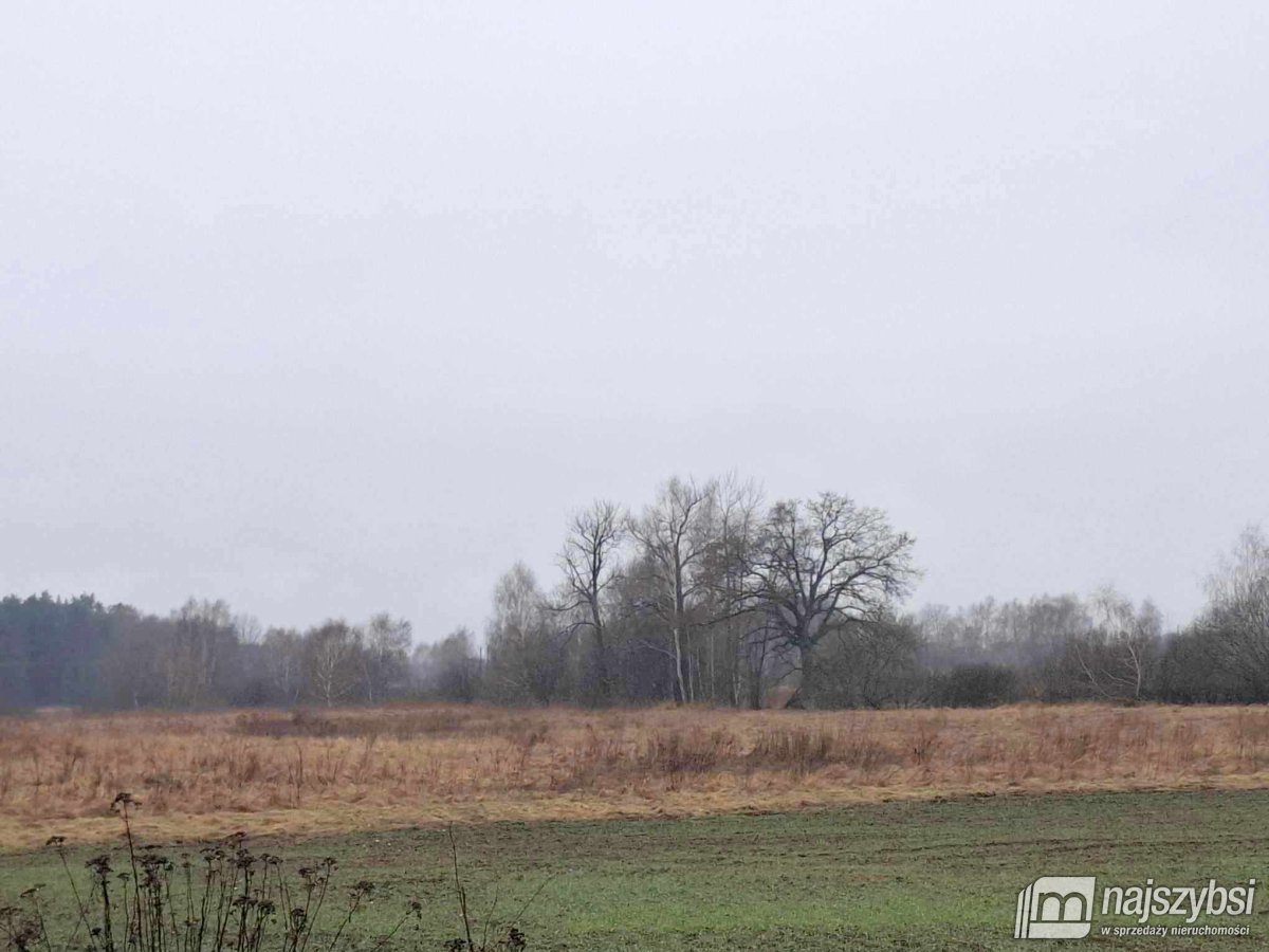 Chociwel - obrzeża ziemia rolna 19ha (5)