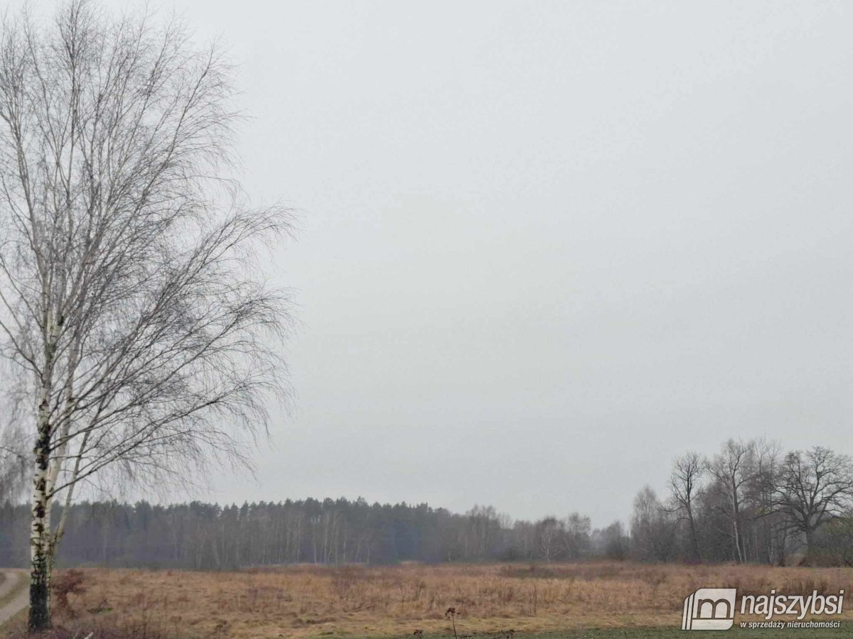 Chociwel - obrzeża ziemia rolna 19ha (6)