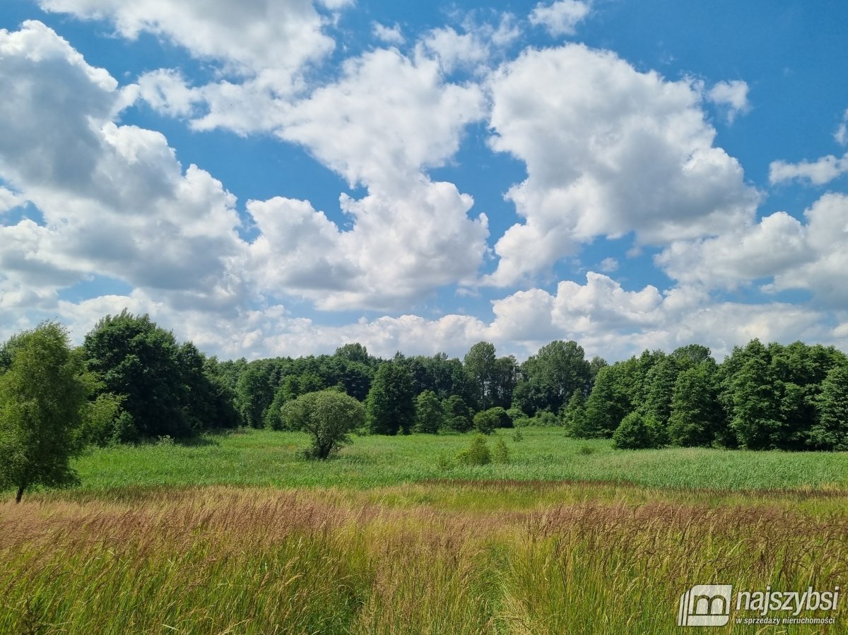 Chociwel obrzeża - okazja 28,53ha  widok na jezior (3)