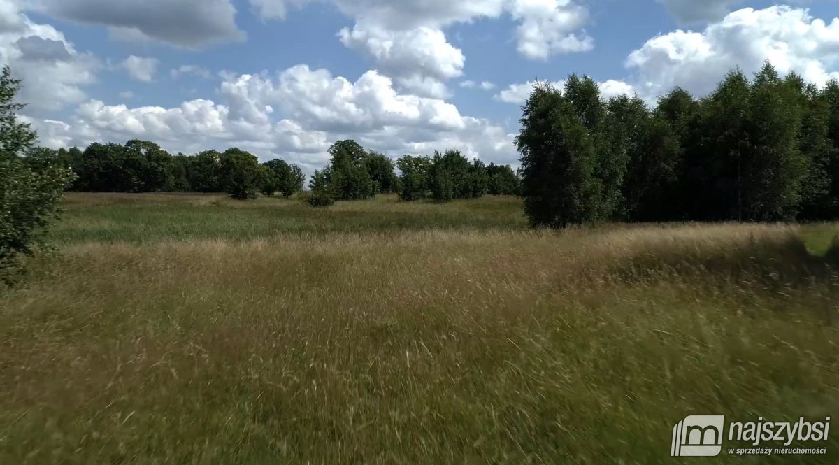 Chociwel obrzeża -  24,53ha przy drodze asfaltowej (2)