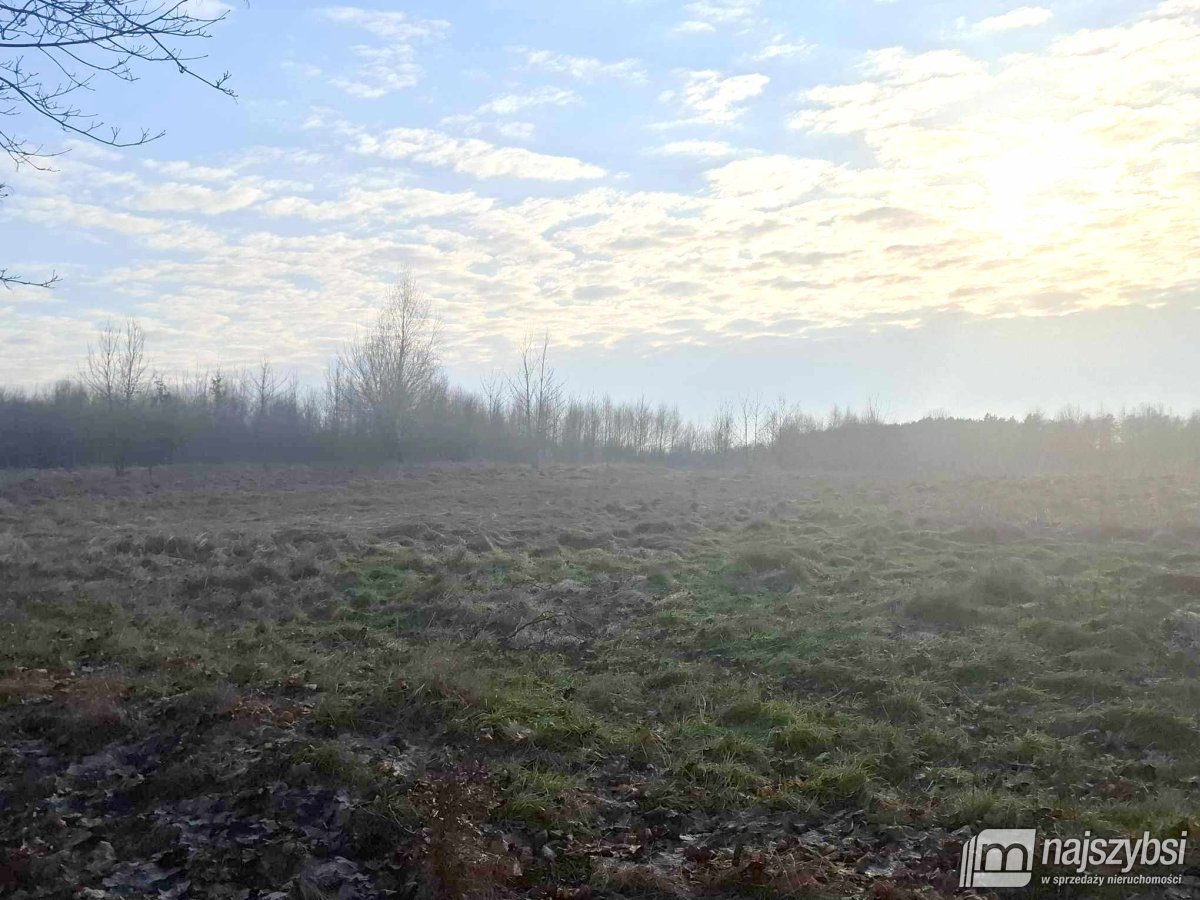 Chociwel obrzeża -  24,53ha przy drodze asfaltowej (4)