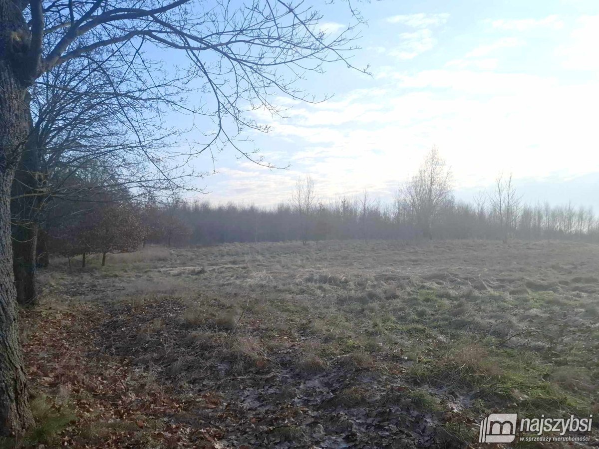 Chociwel obrzeża -  24,53ha przy drodze asfaltowej (7)