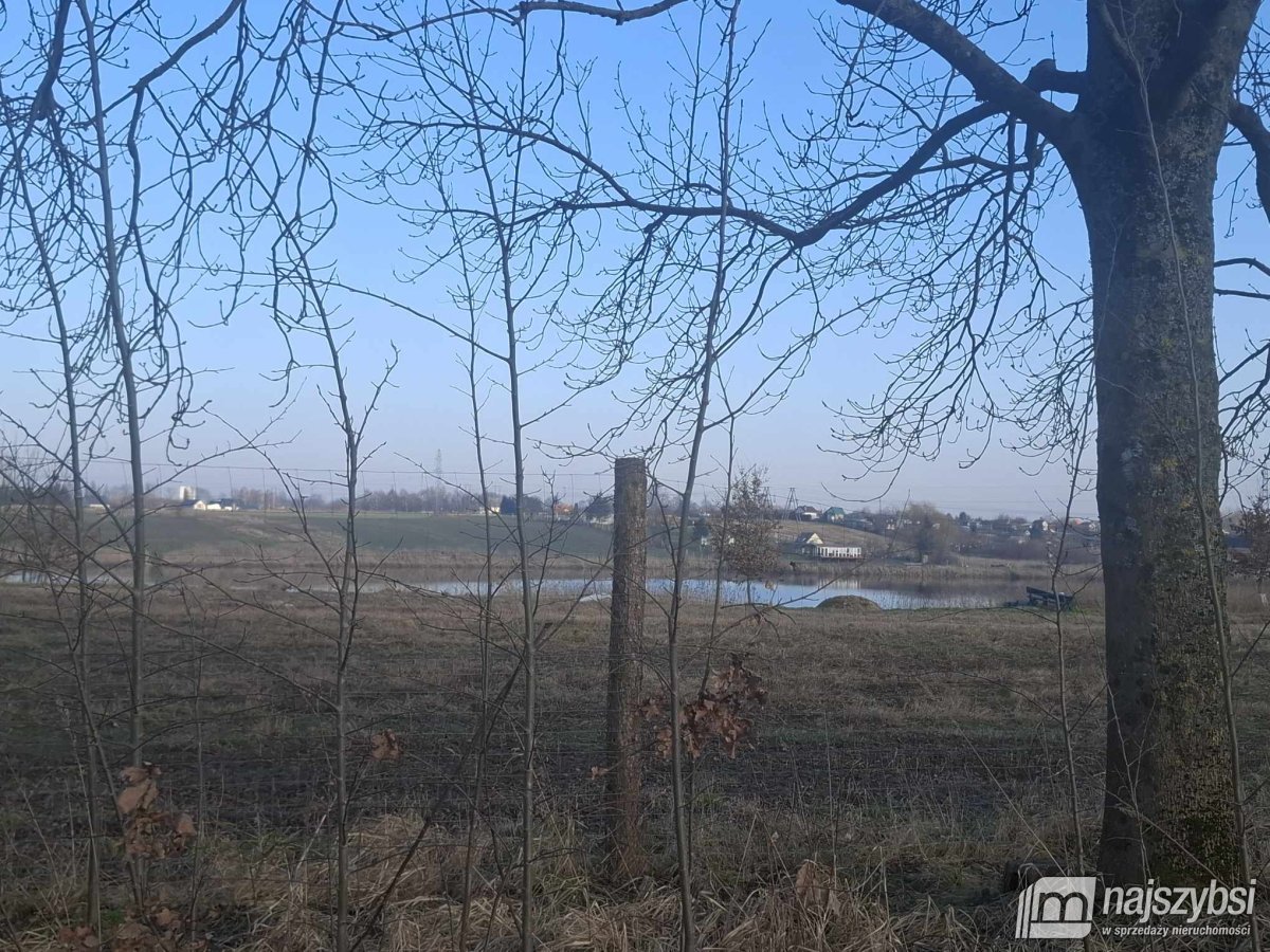 Chociwel obrzeża -  24,53ha przy drodze asfaltowej (8)