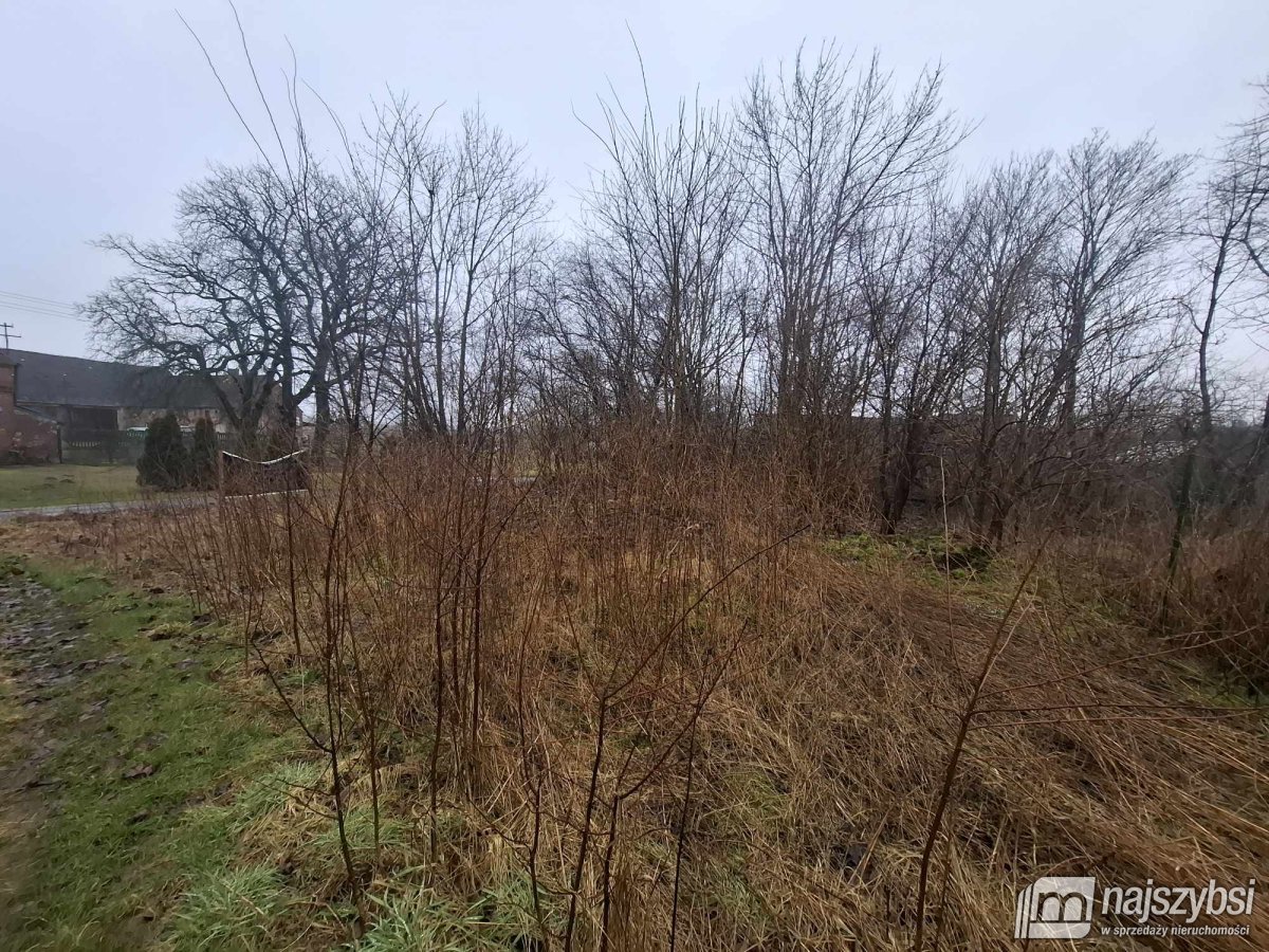 Dobrzany obrzeża - działka rolna 2600m2 (4)