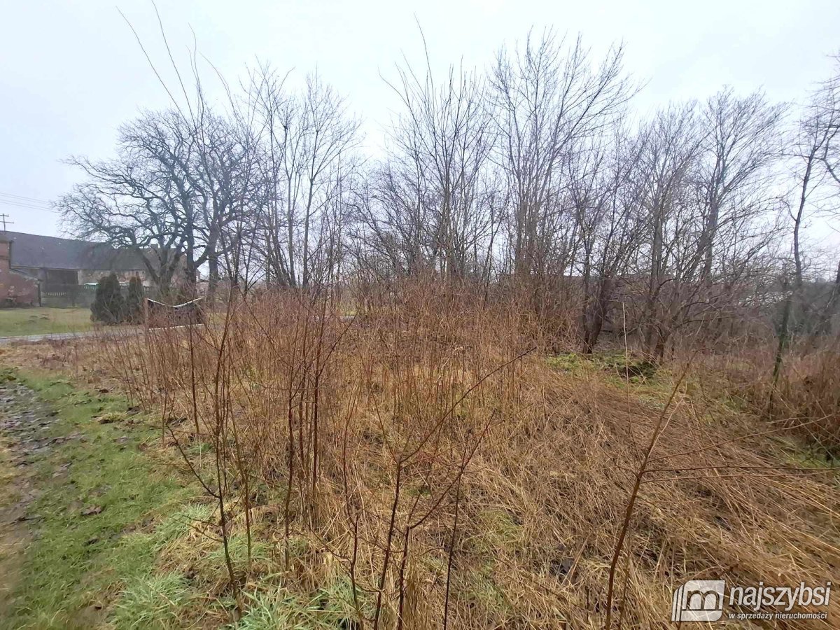 Dobrzany obrzeża - działka rolna 2600m2 (5)