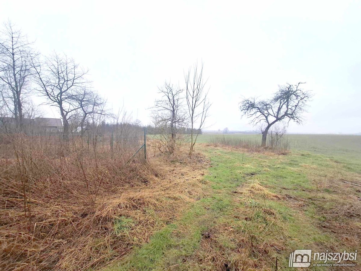 Dobrzany obrzeża - działka rolna 2600m2 (6)