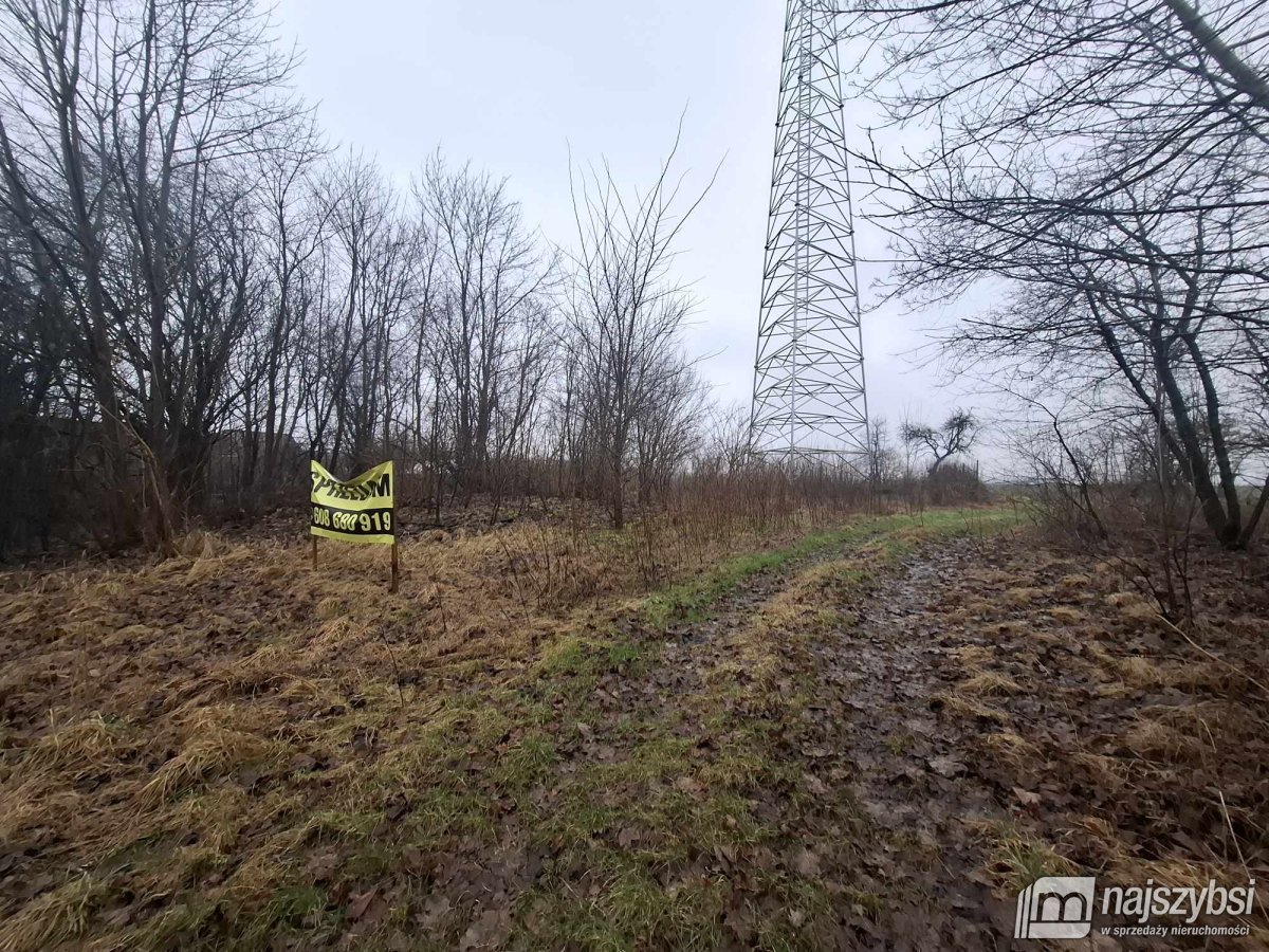 Dobrzany obrzeża - działka rolna 2600m2 (7)