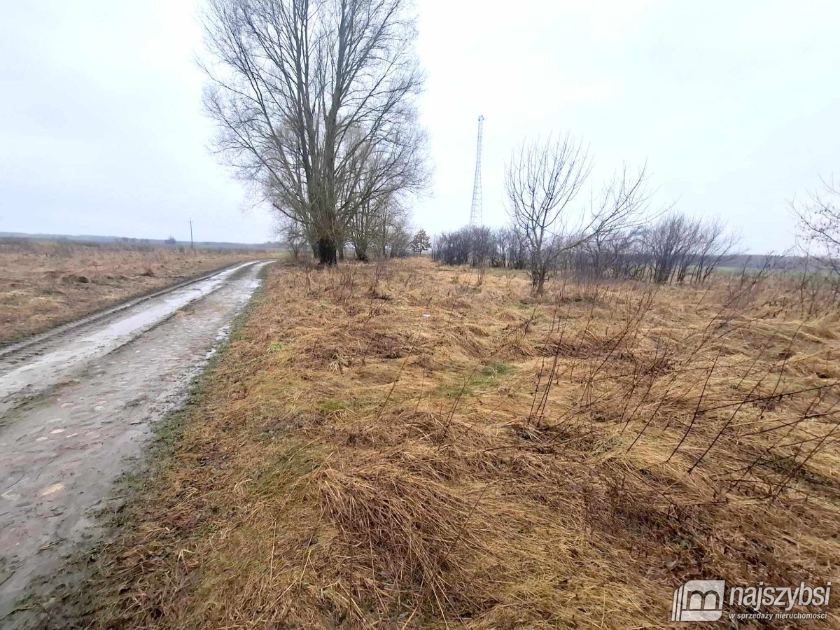 Dobrzany obrzeża-działka rolna 4300m2 (1)