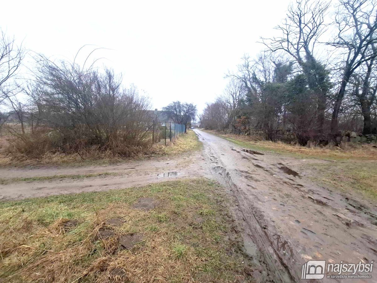 Dobrzany obrzeża-działka rolna 4300m2 (5)