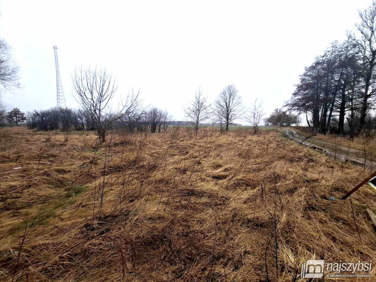 Dobrzany obrzeża-działka rolna 4300m2 (6)