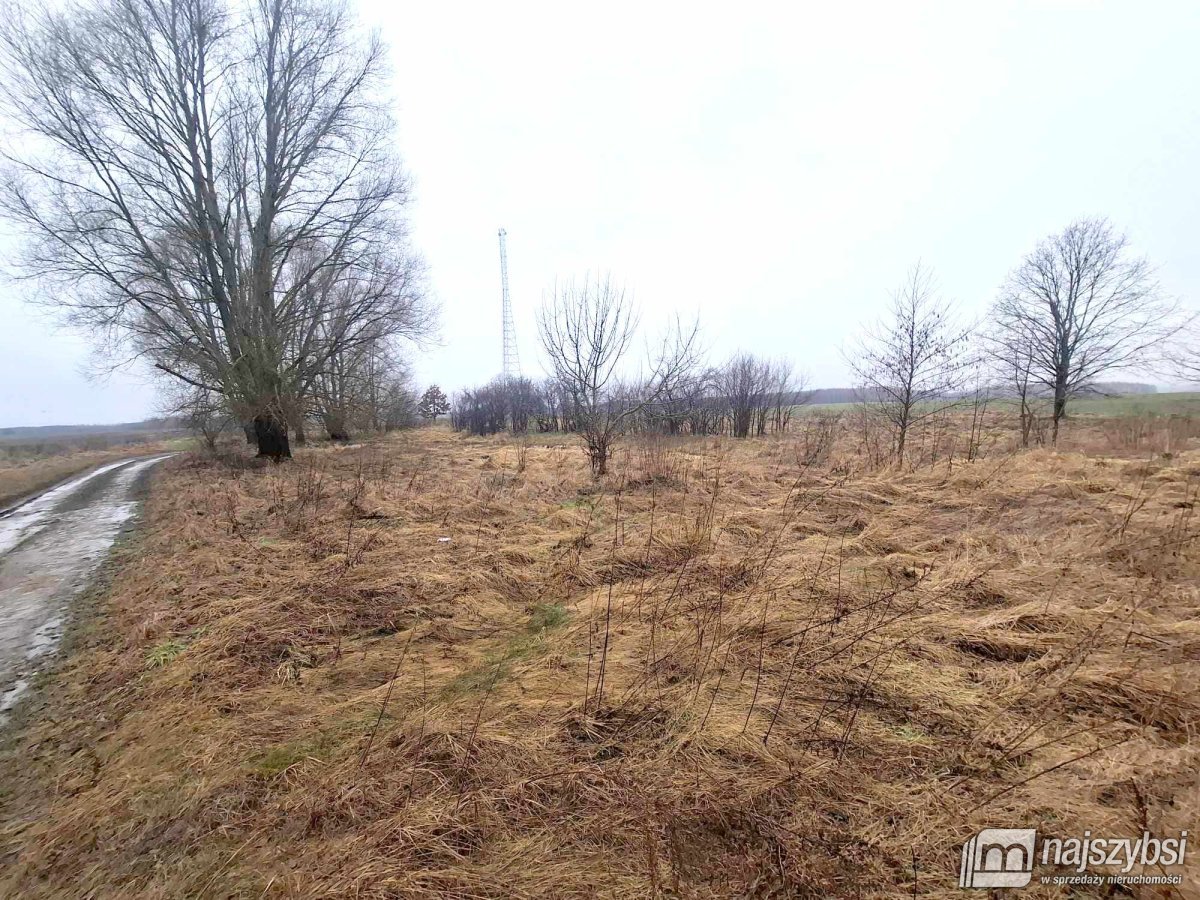 Dobrzany obrzeża-działka rolna 4300m2 (7)