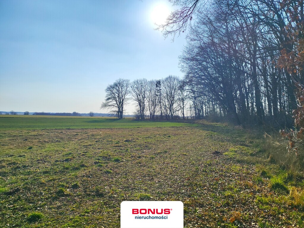 Duża działka w Rewalu granicząca z lasem z mpzp (8)