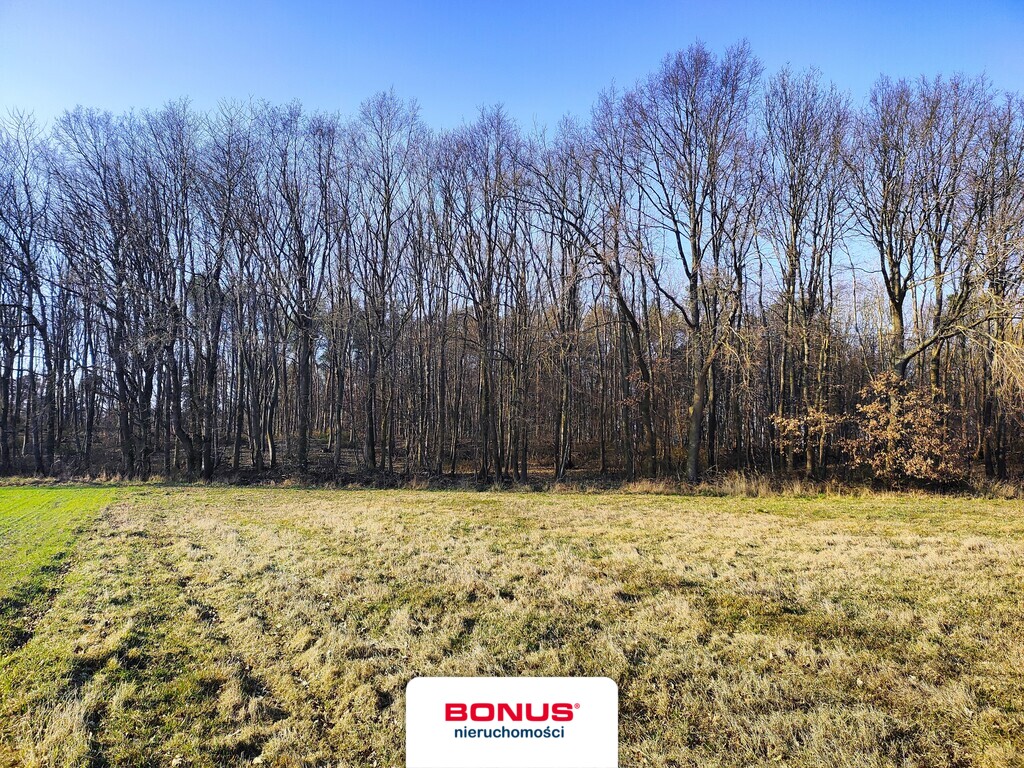 Duża działka w Rewalu granicząca z lasem z mpzp (10)