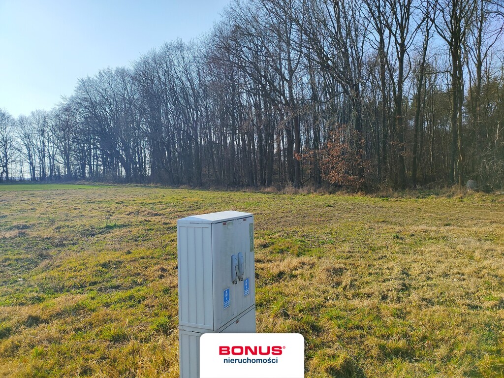 Duża działka w Rewalu granicząca z lasem z mpzp (7)