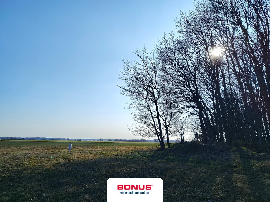 Duża działka w Rewalu granicząca z lasem z mpzp (14)
