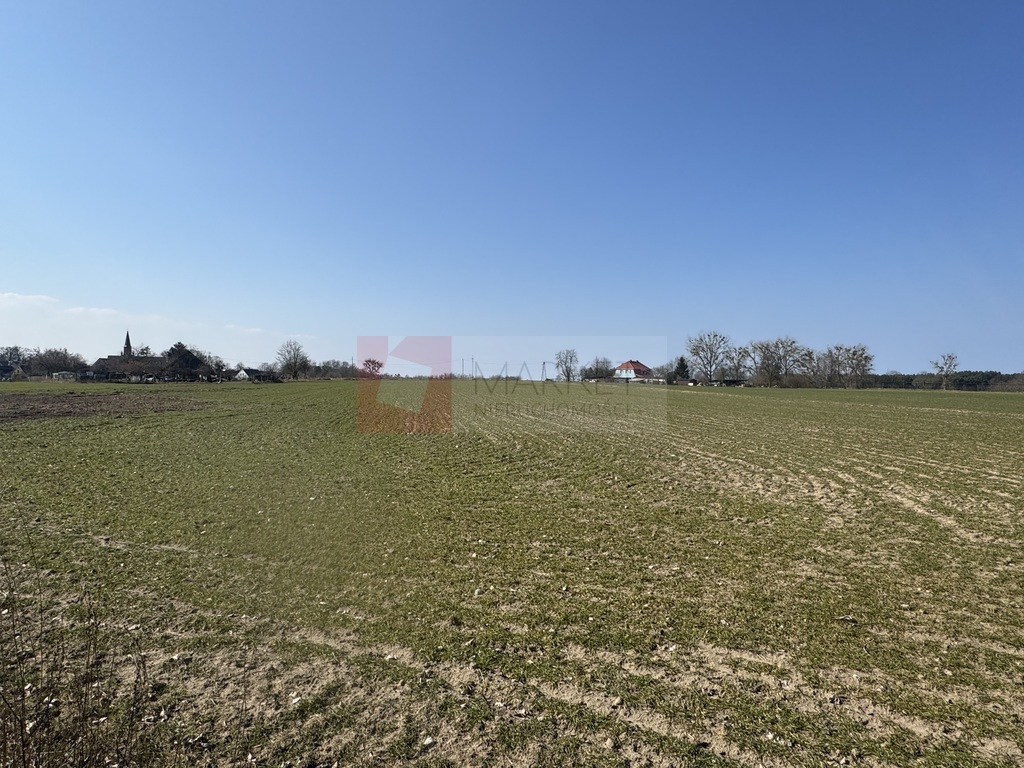 Atrakcyjna cena działki w Żarnowie (5)