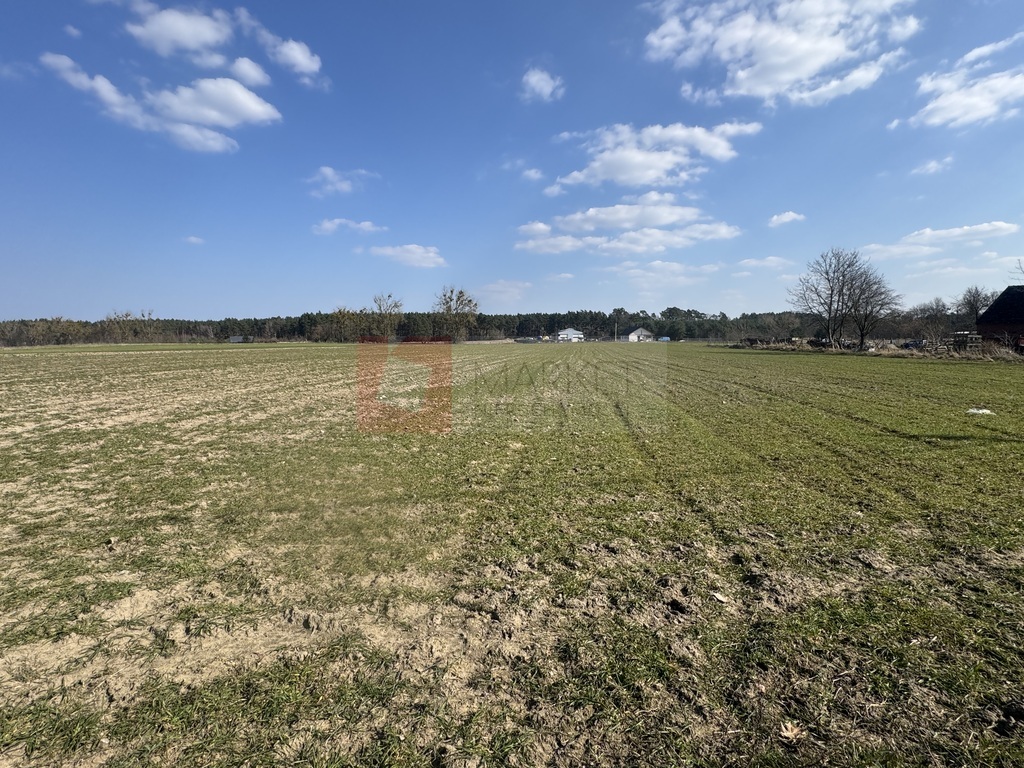 Atrakcyjna cena działki w Żarnowie (2)