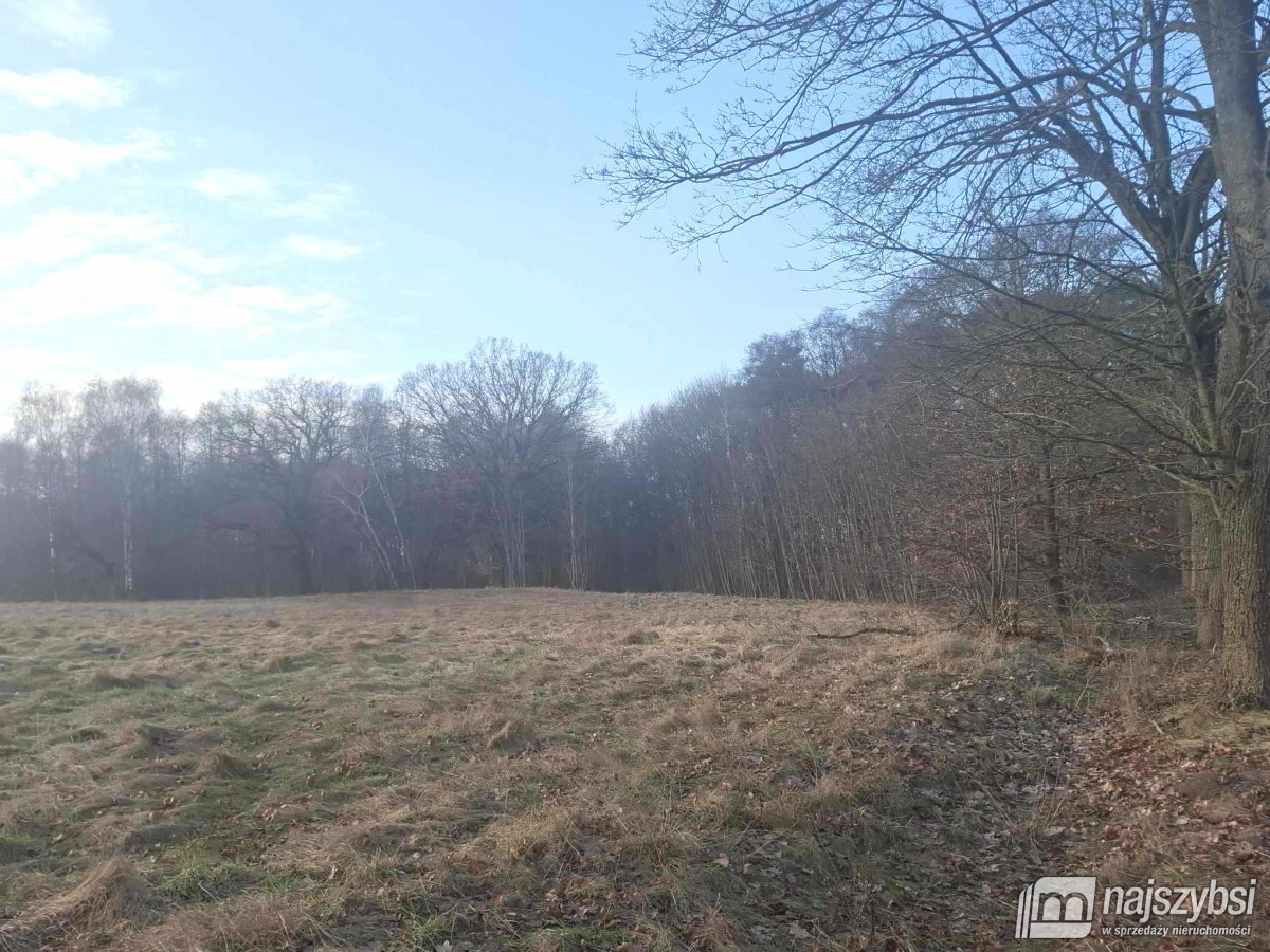 Chociwel - obrzeża widok na jezioro 4ha (2)