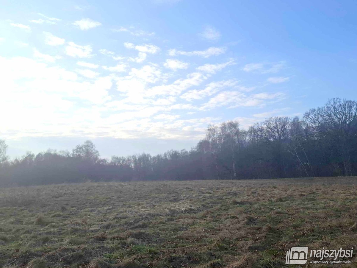 Chociwel - obrzeża widok na jezioro 4ha (5)