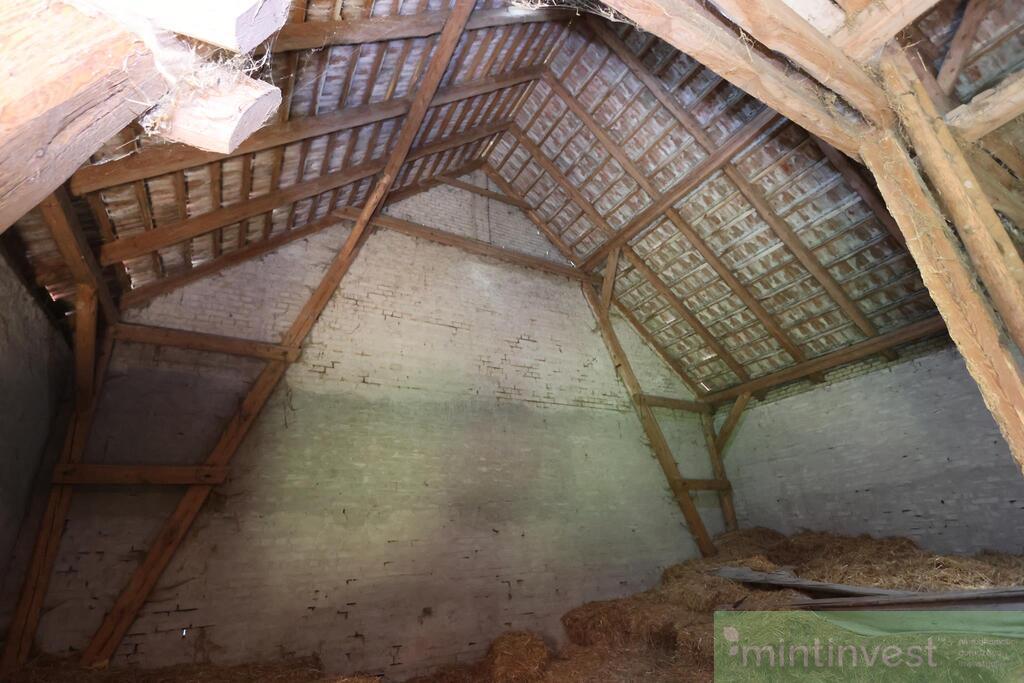 Działka z budynkiem gospodarczym - atrakcyjna cena (4)