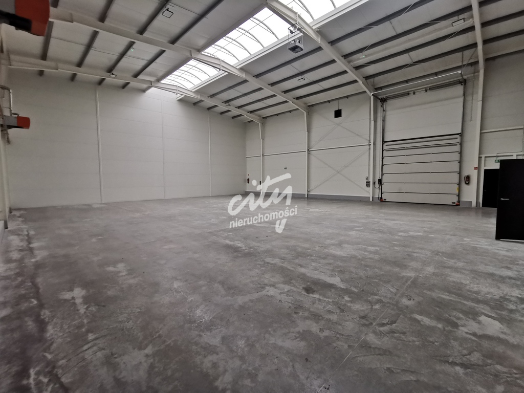 Nowa Hala 2025 r. 900 m dostępna od zaraz. (2)