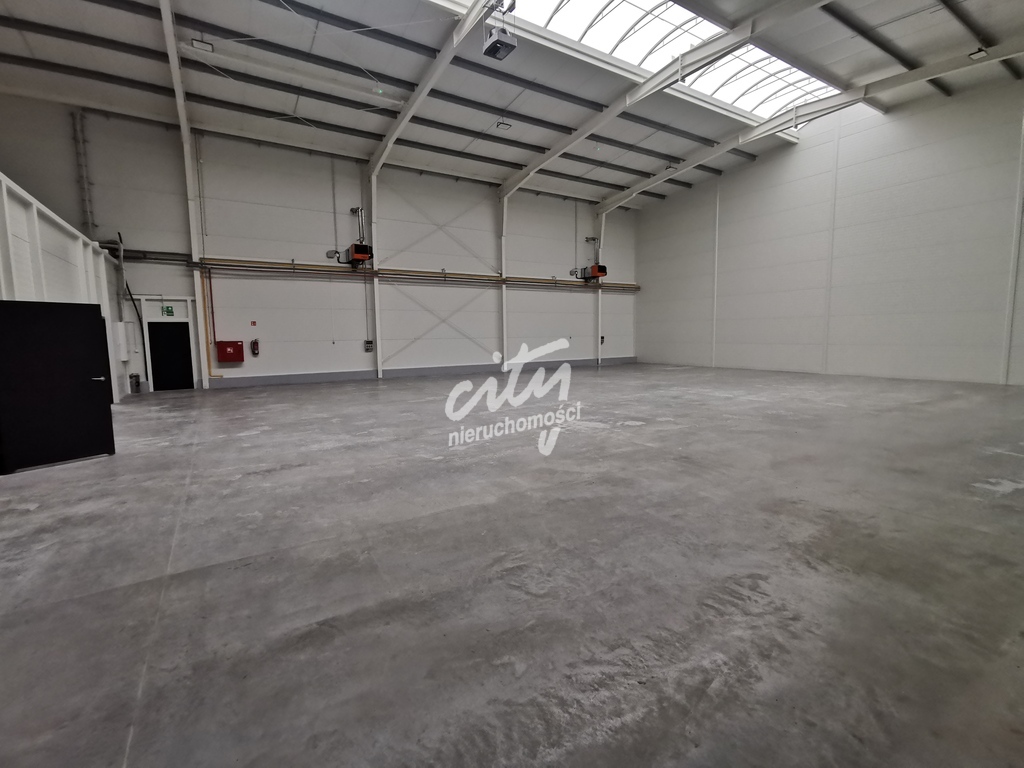 Nowa Hala 2025 r. 900 m dostępna od zaraz. (1)