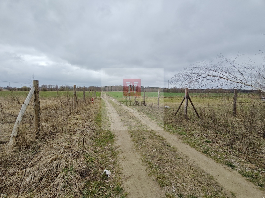 Wąwelnica - działka pod budowę domu-cisza, spokój! (3)