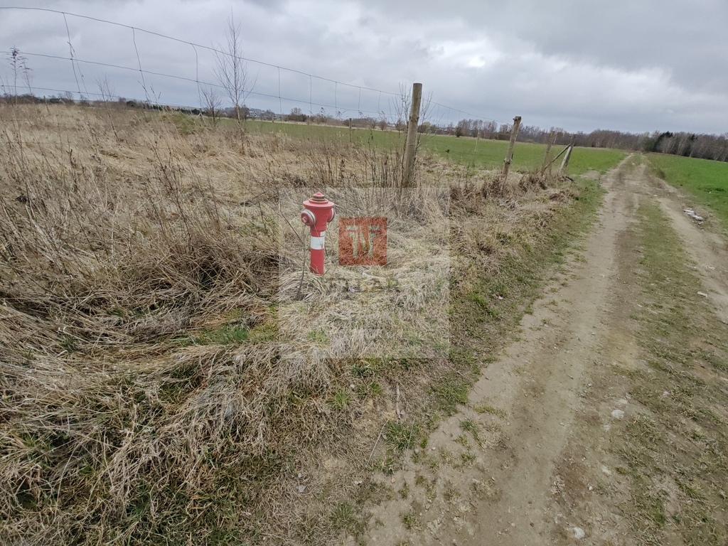 Wąwelnica - działka pod budowę domu-cisza, spokój! (4)