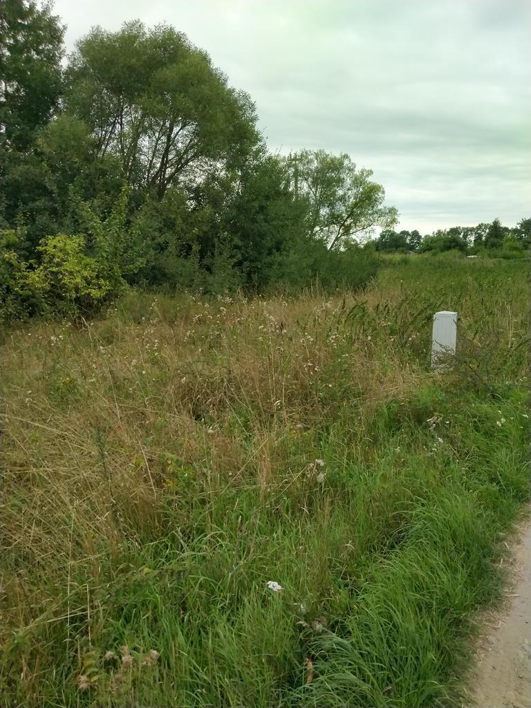 DZIAŁKA 862 M2 PYRZYCE UL. WARSZAWSKA. (2)