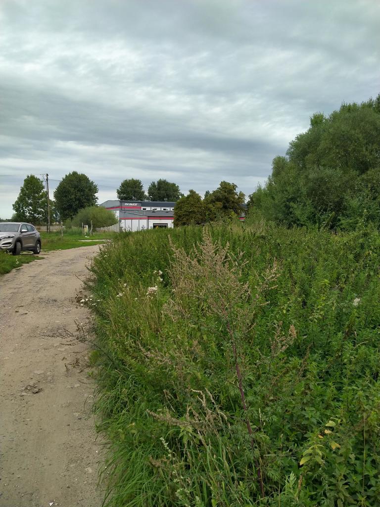 DZIAŁKA 862 M2 PYRZYCE UL. WARSZAWSKA. (3)