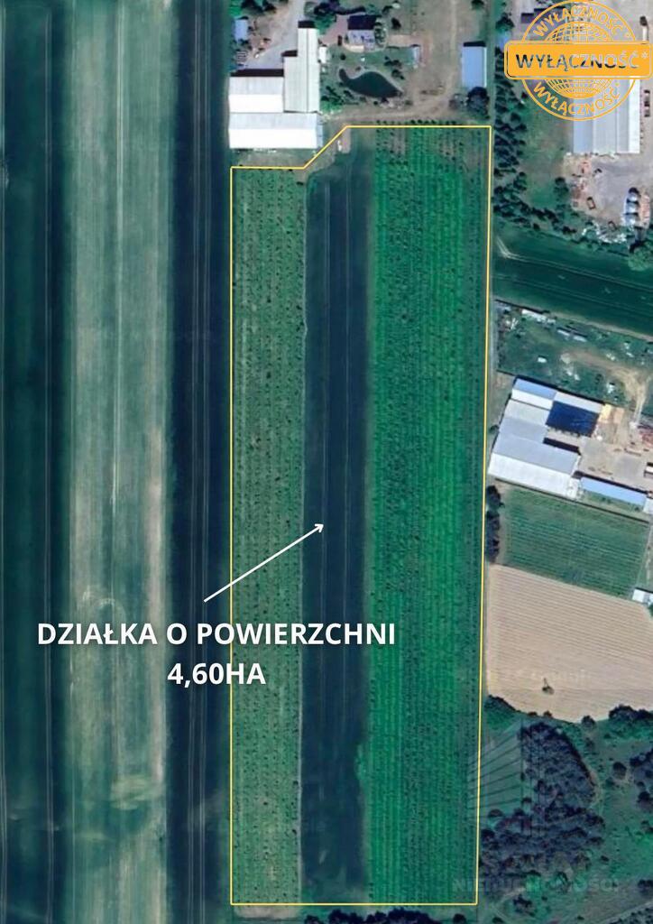 Kompleks magazynowo -chłodniczy z domem- 4,6401 ha (2)