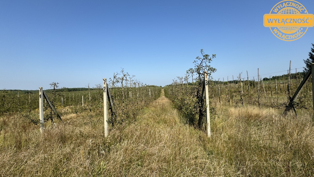 Kompleks magazynowo -chłodniczy z domem- 4,6401 ha (22)