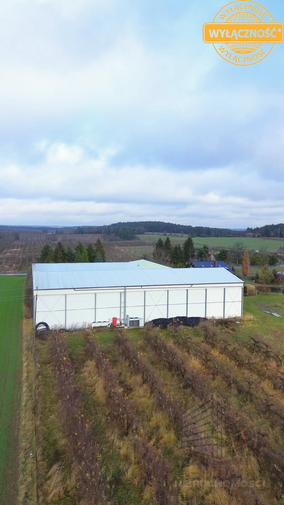 Kompleks magazynowo -chłodniczy z domem- 4,6401 ha (6)