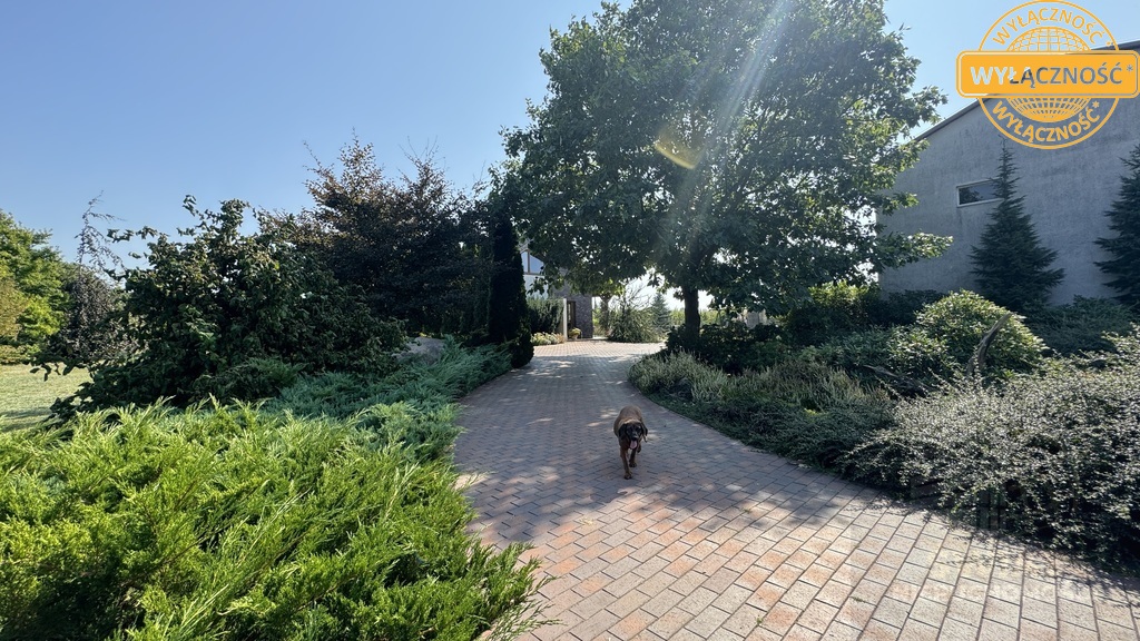 Kompleks magazynowo -chłodniczy z domem- 4,6401 ha (26)