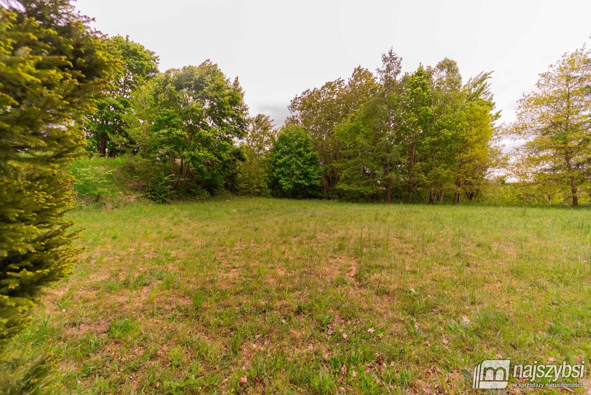 Drawno - działka na sprzedaż  (10)