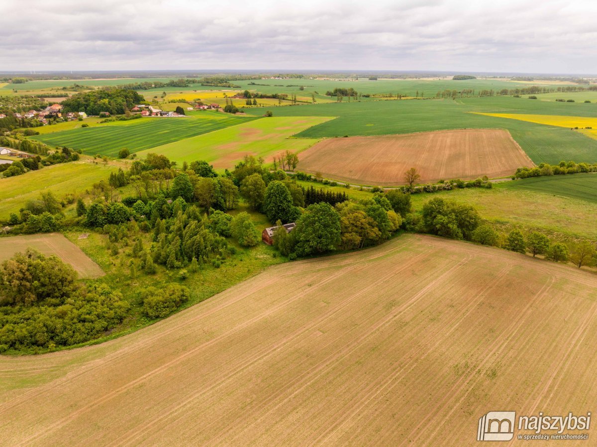 Drawno - działka na sprzedaż  (15)