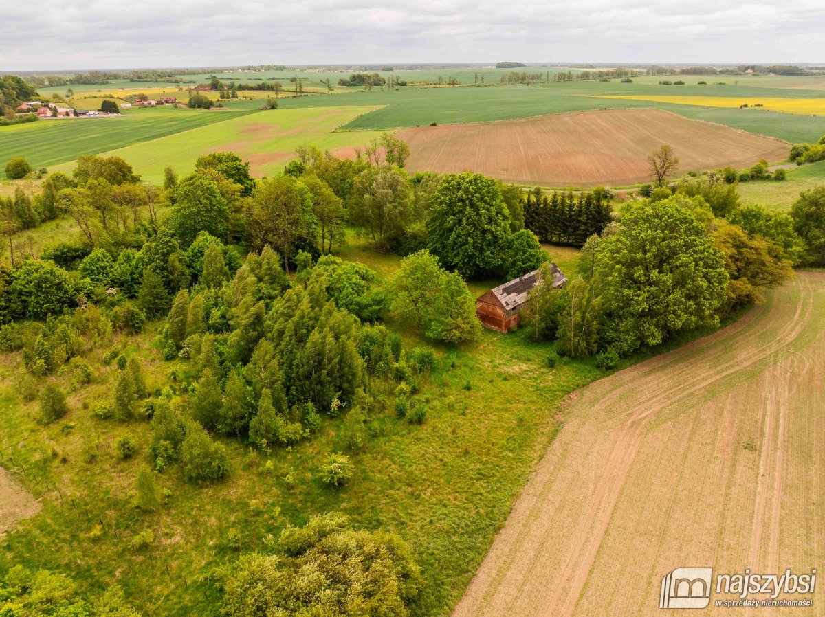 Drawno - działka na sprzedaż  (3)