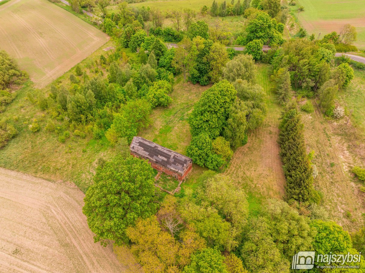 Drawno - działka na sprzedaż  (4)