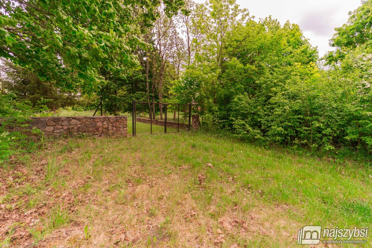 Drawno - działka na sprzedaż  (5)
