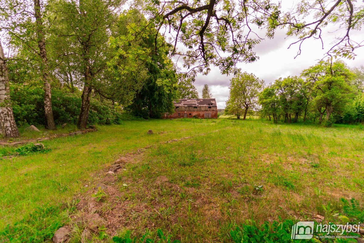 Drawno - działka na sprzedaż  (6)