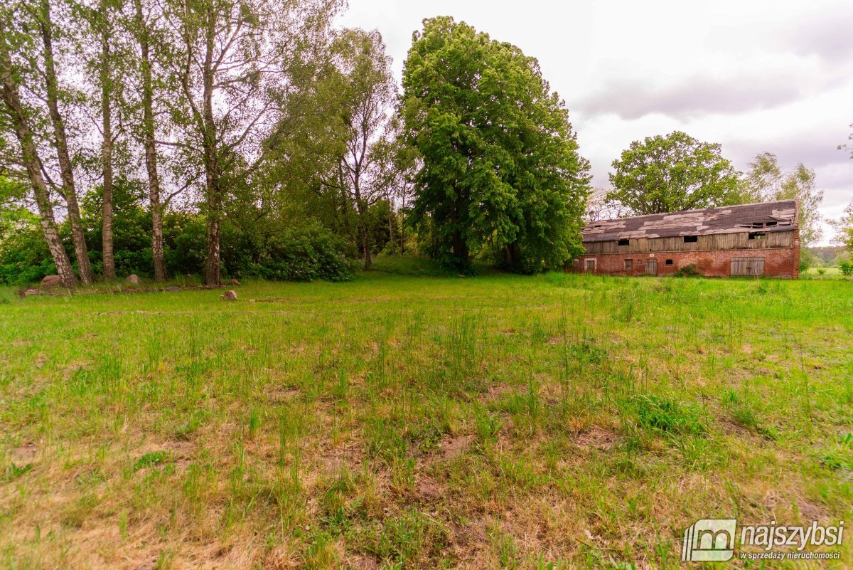 Drawno - działka na sprzedaż  (7)