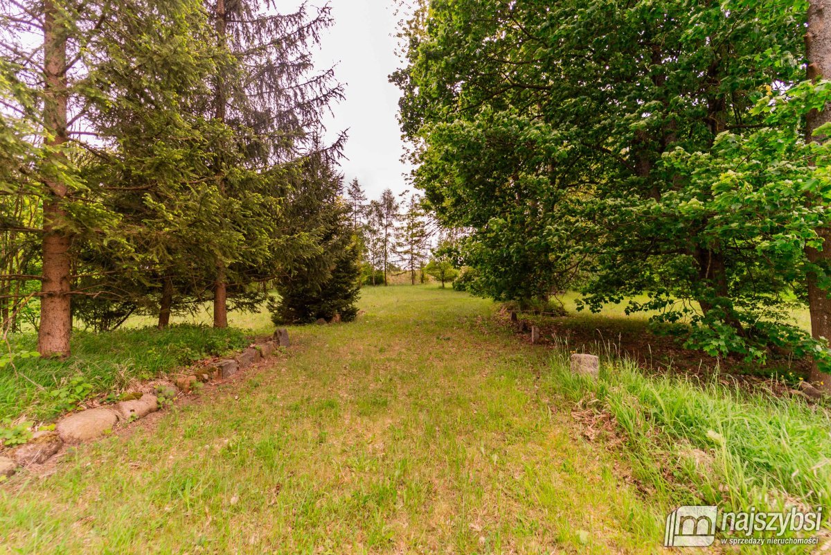 Drawno - działka na sprzedaż  (9)