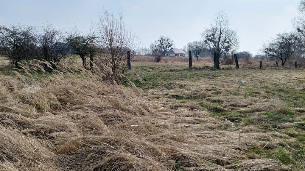Działka przy ul Inwalidzkiej (2)