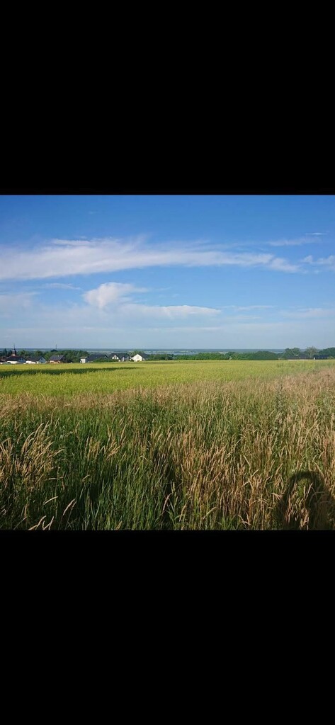 Działka  z pięknym widokiem (1)