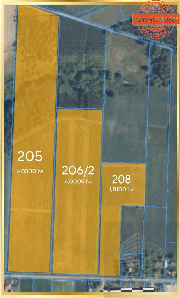Kompleks działek 21,1578 ha- Media, Droga !! (2)