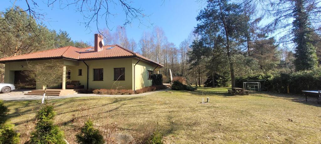 Dom w otulinie  Puszczy Goleniowskiej (23)